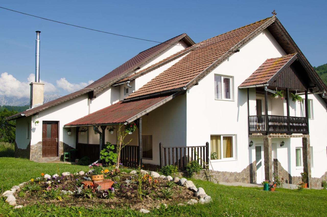 Gasthaus Casa Elena Bran  Exterior foto